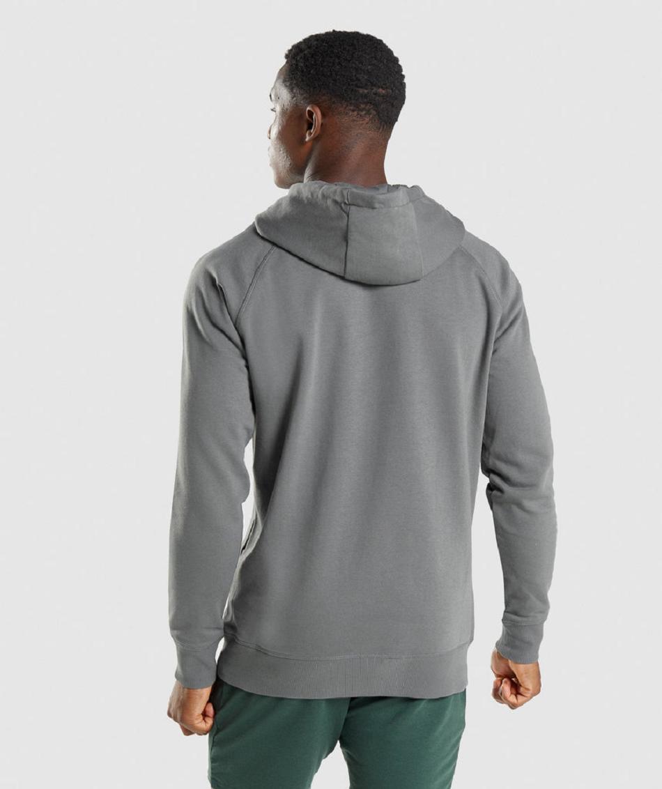 Sudadera Con Capucha Gymshark Sharkhead Infill Hombre Gris | CO 3631SGL